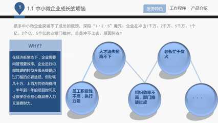 Mini咨詢服務手冊人力資源咨詢產品推介實用PPT教學課件