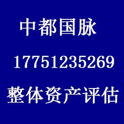 鹽城股權(quán)轉(zhuǎn)讓評估與企業(yè)咨詢服務(wù) 整體資產(chǎn)價值的關(guān)鍵解析