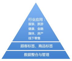 大數(shù)據(jù) 互聯(lián)網(wǎng)數(shù)據(jù)服務的核心引擎與未來圖景